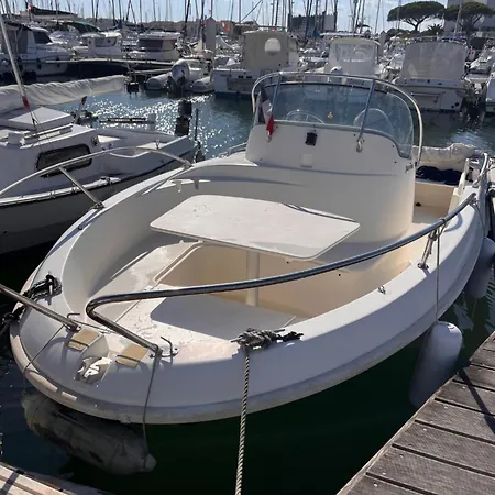 Joli Vue Et Port