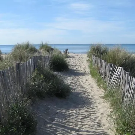 Vue Et Port * Carnon-Plage